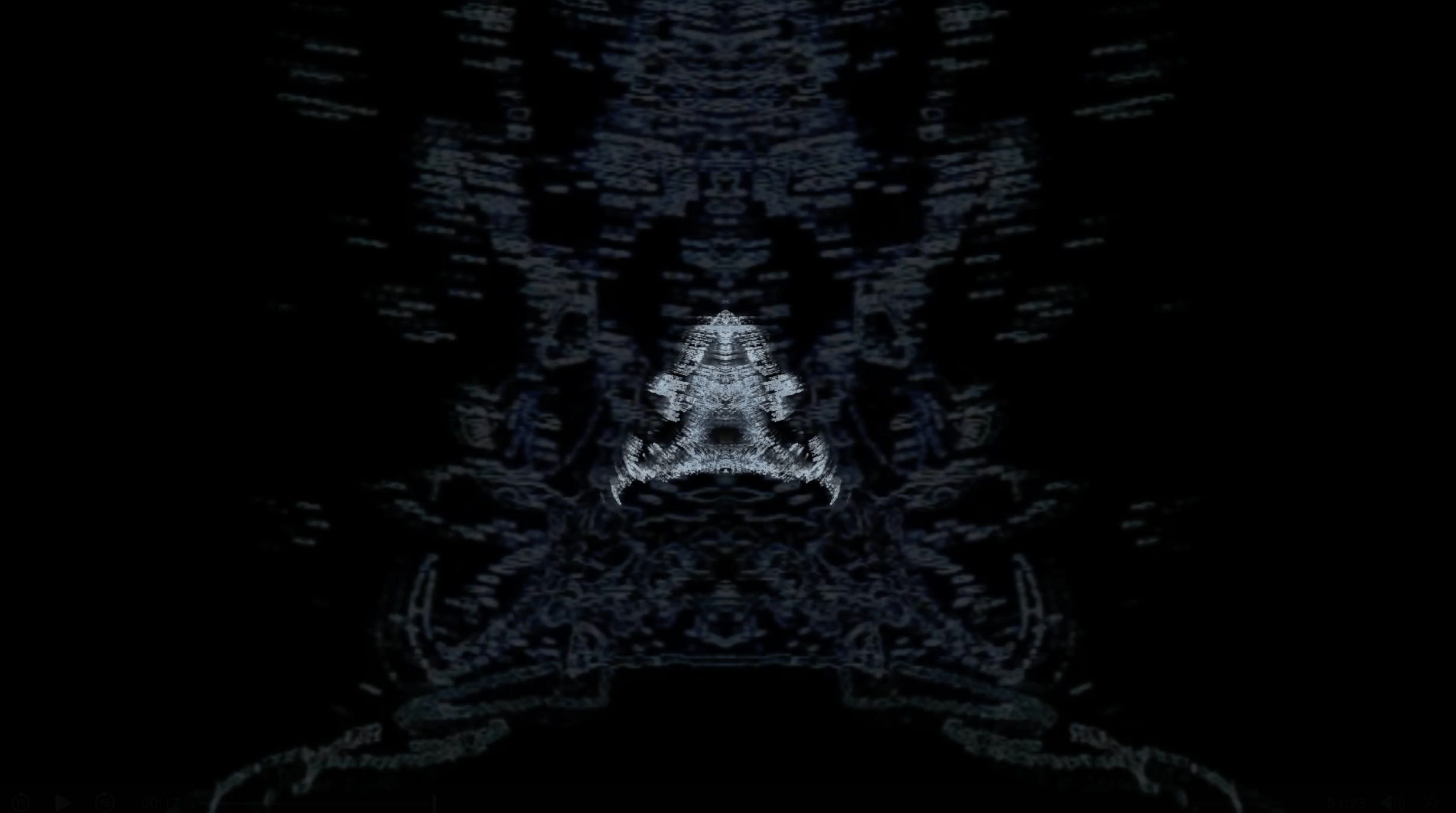 Image 1B